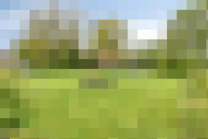 De Pol 23 Doesburg thumbnail 38