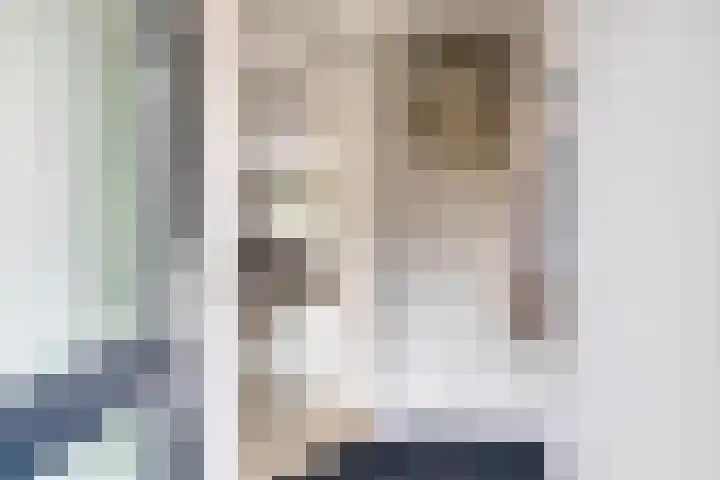 De Pol 23 Doesburg thumbnail 7