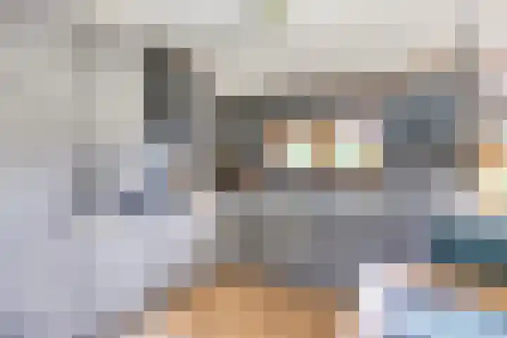 De Pol 27 De Pol thumbnail 12