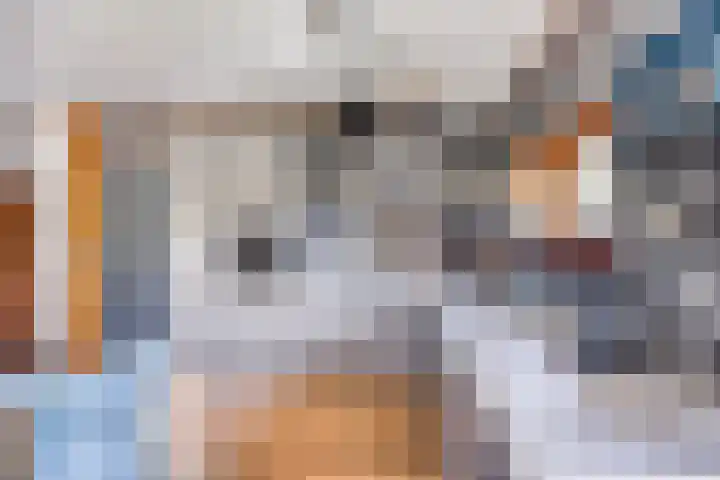 De Pol 27 De Pol thumbnail 14