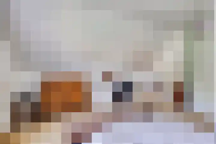 De Pol 27 De Pol thumbnail 24