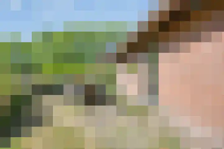 De Pol 27 De Pol thumbnail 28