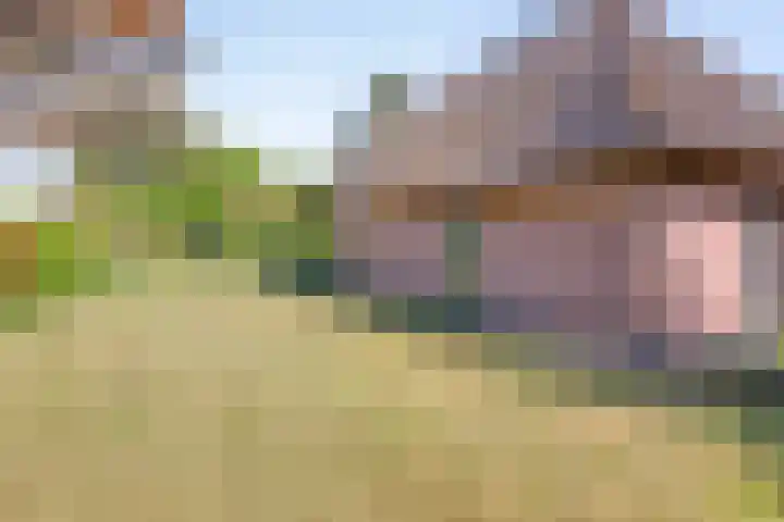 De Pol 27 De Pol thumbnail 30
