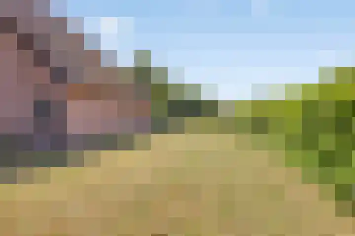 De Pol 27 De Pol thumbnail 31