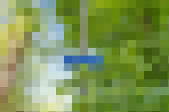 De Pol 27 De Pol thumbnail 38