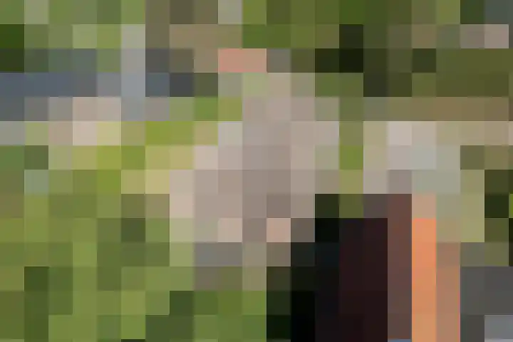 De Pol 27 De Pol thumbnail 42