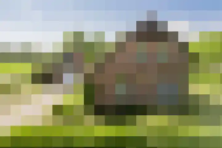 De Pol 27 De Pol thumbnail 43