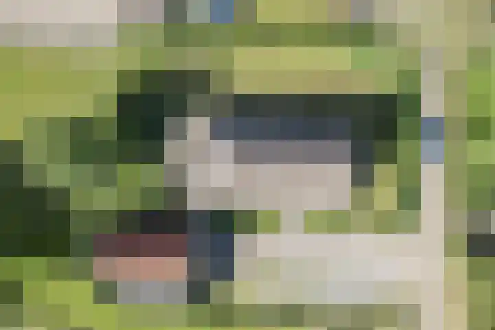 De Pol 27 De Pol thumbnail 46