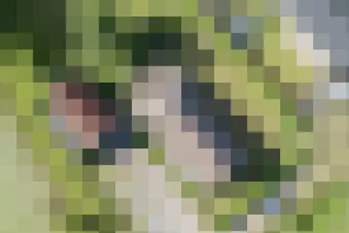 De Pol 27 De Pol thumbnail 47
