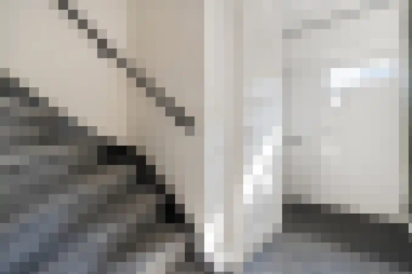 De Pol 4 Hasselt thumbnail 11