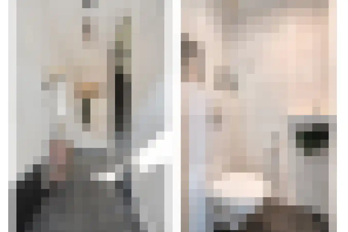 De Pol 4 Hasselt thumbnail 12