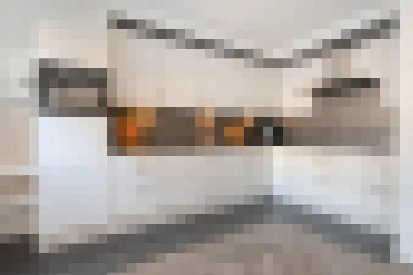 De Pol 4 Hasselt thumbnail 27