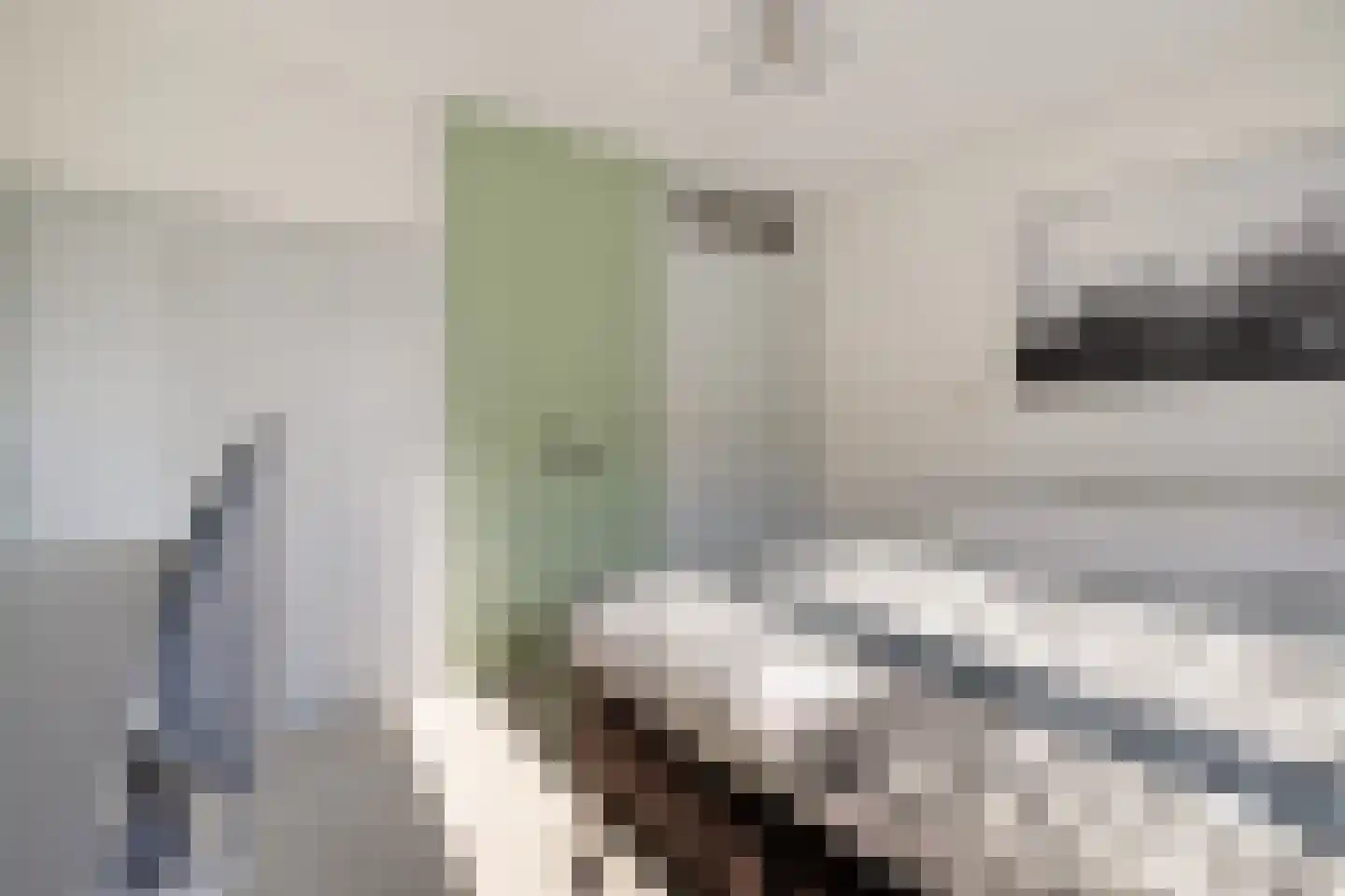 De Pol 4 Hasselt thumbnail 42