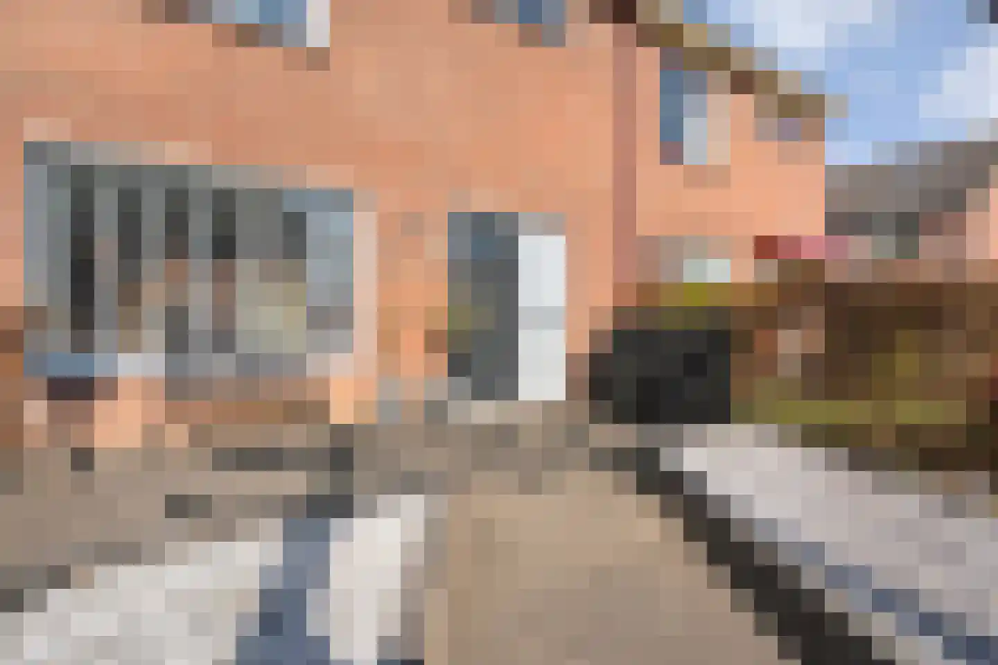 De Pol 4 Hasselt thumbnail 9