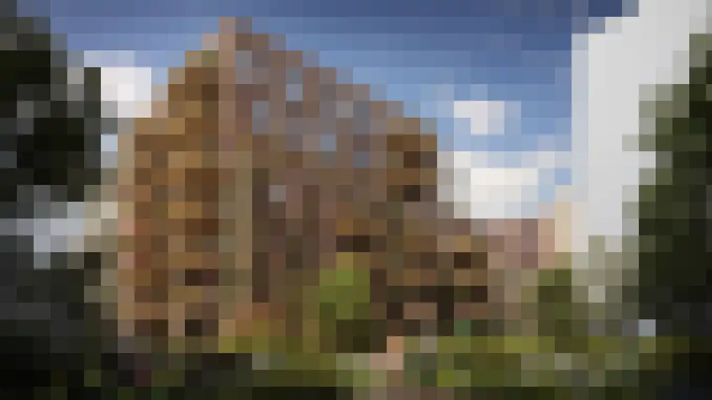 De Polderwerker 2 Utrecht thumbnail 11