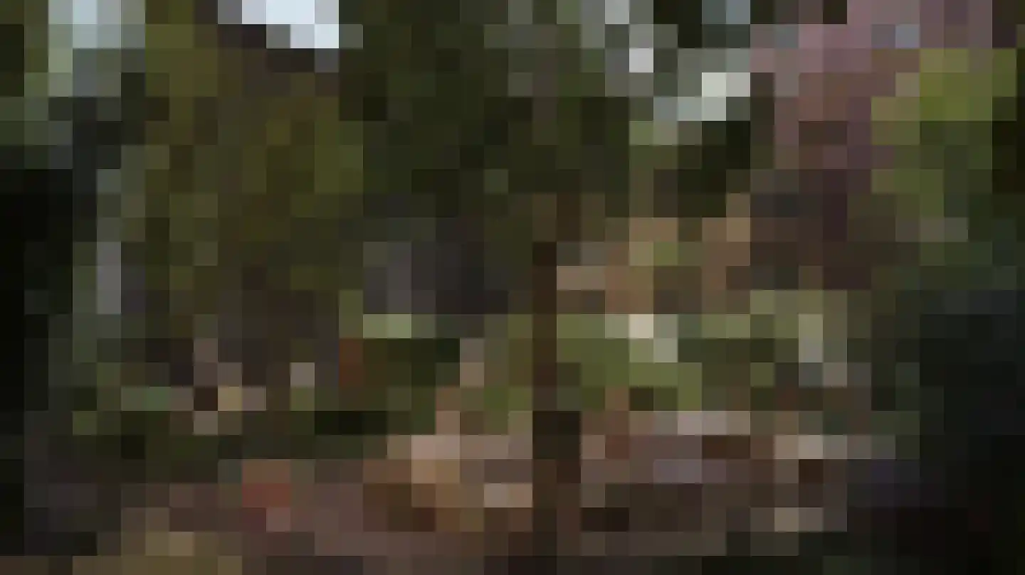 De Polderwerker 2 Utrecht thumbnail 4