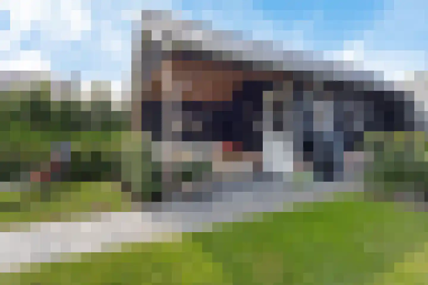 De Pôle 3 Gaastmeer thumbnail 5