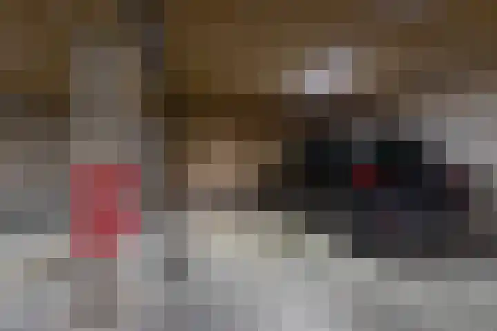 de Pollenbrink 38 Bemmel thumbnail 35