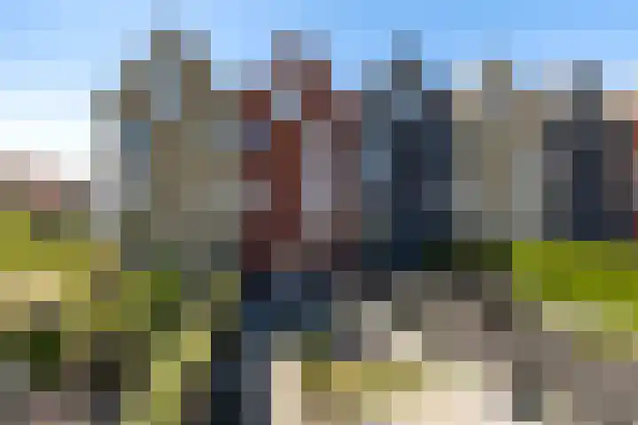 De Pols 22 Leeuwarden thumbnail 55