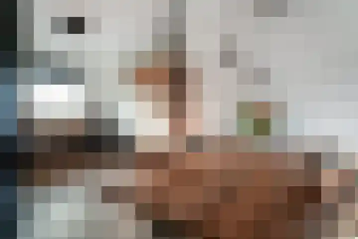 de Pontilaan 2 g Didam thumbnail 13