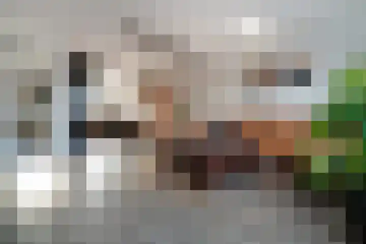 de Pontilaan 2 g Didam thumbnail 19