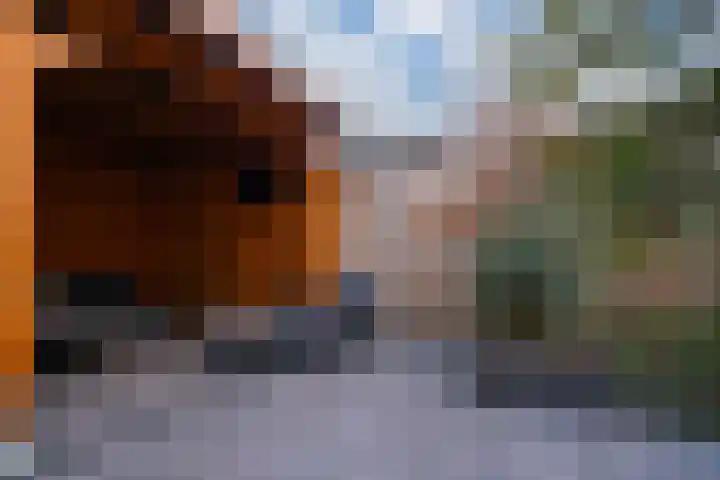 de Pontilaan 2 g Didam thumbnail 25