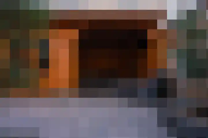 de Pontilaan 2 g Didam thumbnail 29
