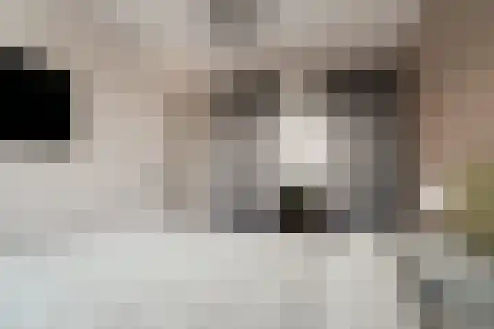 de Pontilaan 2 g Didam thumbnail 42
