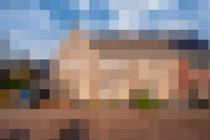 de Pontilaan 2 g Didam thumbnail 6