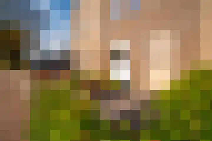 de Pontilaan 2 g Didam thumbnail 9