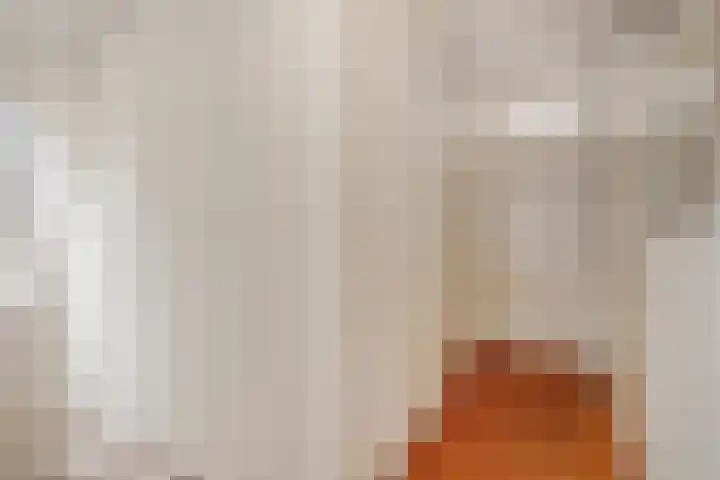 De Pony 6 Dronten thumbnail 21