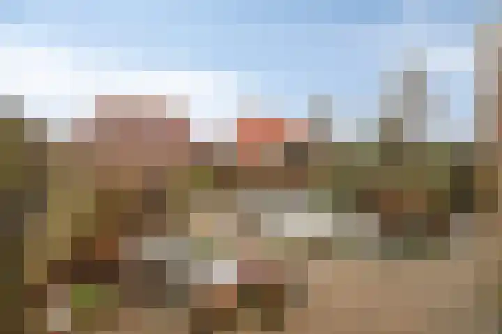 De Pony 6 Dronten thumbnail 25