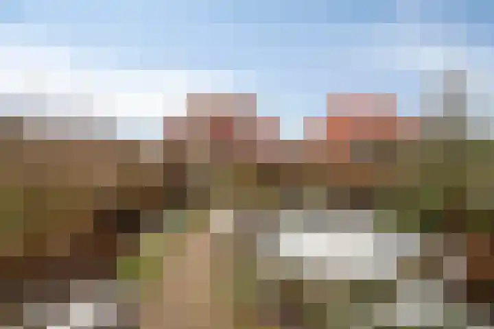 De Pony 6 Dronten thumbnail 26
