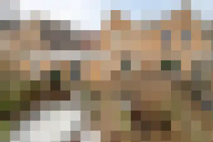 De Pony 6 Dronten thumbnail 27