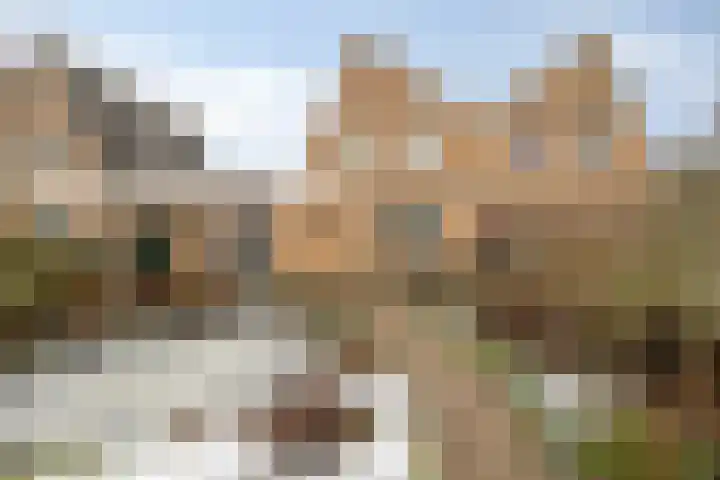 De Pony 6 Dronten thumbnail 28