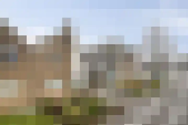 De Pony 6 Dronten thumbnail 30