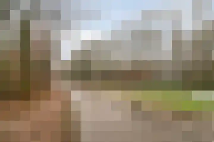 De Pony 6 Dronten thumbnail 33