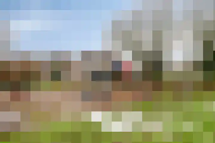 De Pony 6 Dronten thumbnail 34