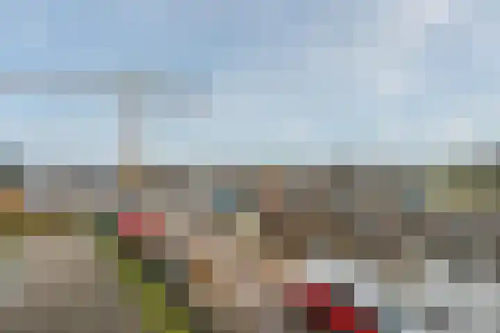 De Poort 17 Deurne thumbnail 16