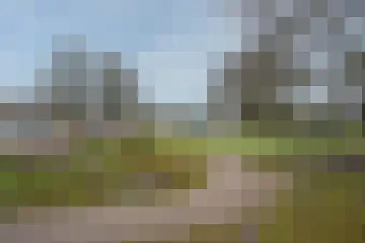 De Poort 17 Deurne thumbnail 17