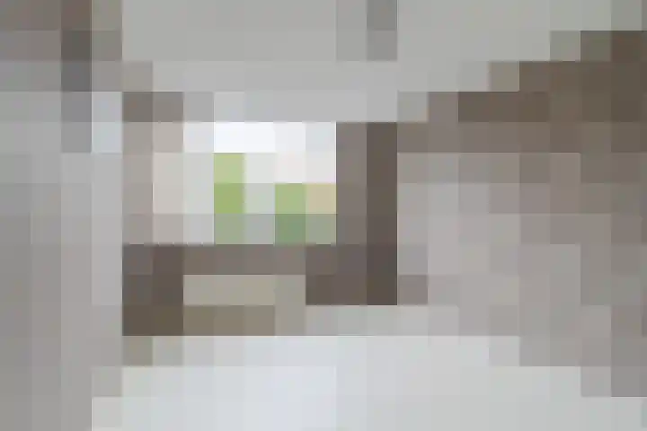 de Populier 9 Benthuizen thumbnail 20