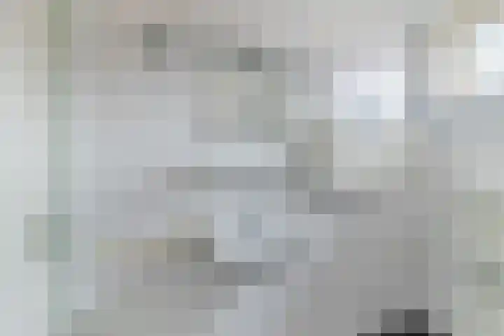 de Populier 9 Benthuizen thumbnail 27