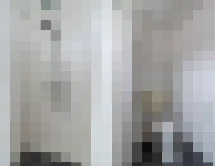 de Populier 9 Benthuizen thumbnail 30