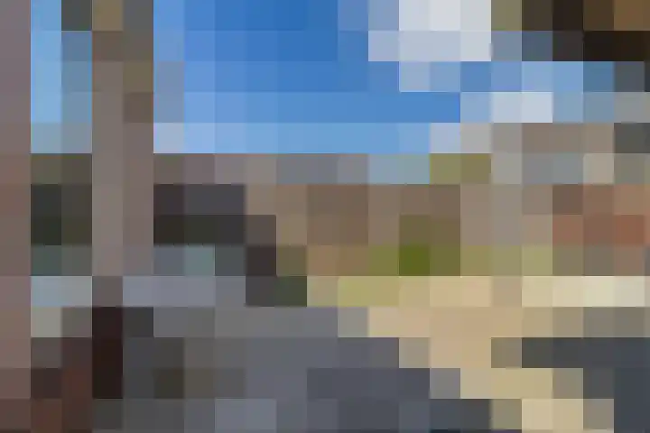 de Populier 9 Benthuizen thumbnail 37