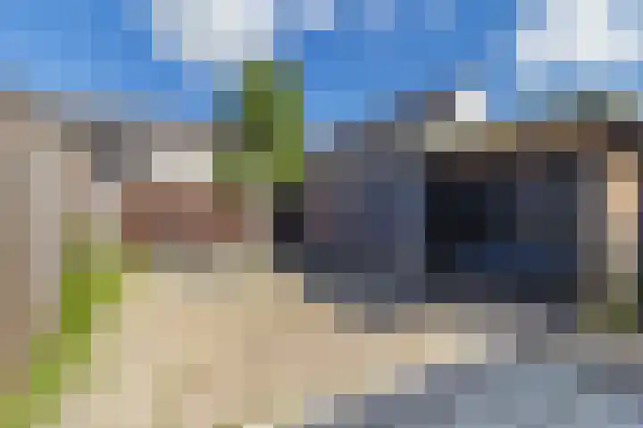de Populier 9 Benthuizen thumbnail 38