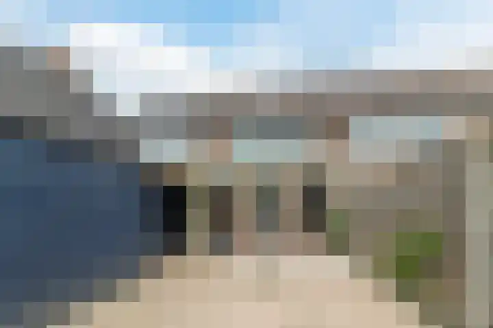 de Populier 9 Benthuizen thumbnail 43