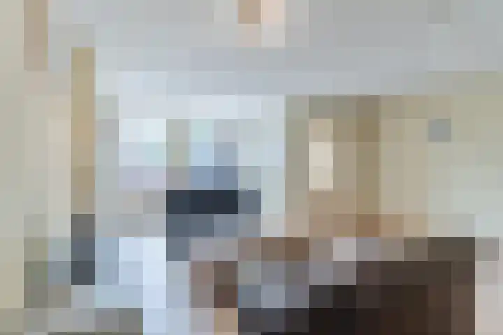 de Populier 9 Benthuizen thumbnail 7