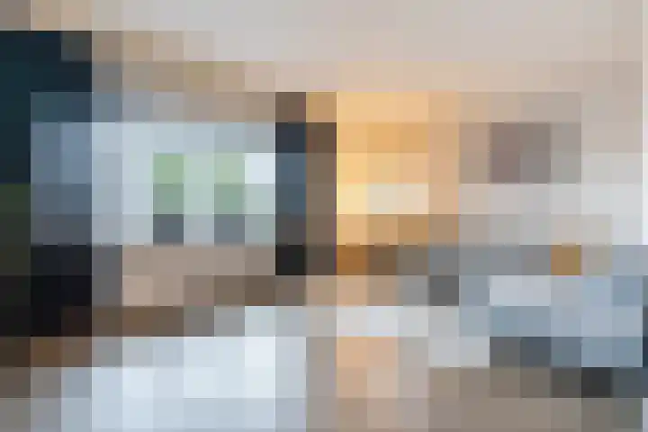 De Poste 40 Hollandscheveld thumbnail 14
