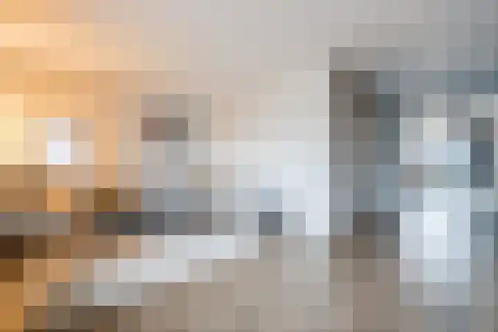De Poste 40 Hollandscheveld thumbnail 15