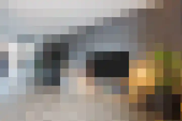 De Poste 40 Hollandscheveld thumbnail 16